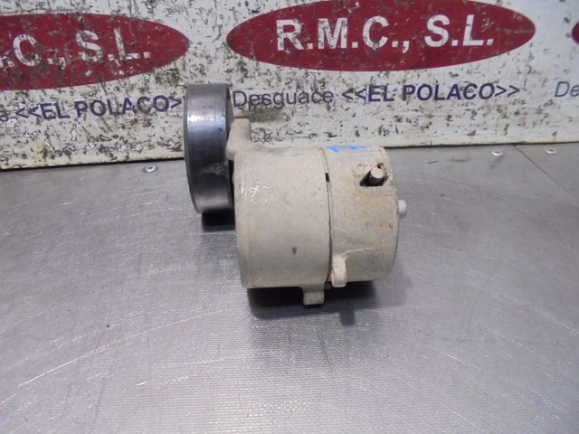 Tensor de correa, correa poli V Opel Zafira F75
