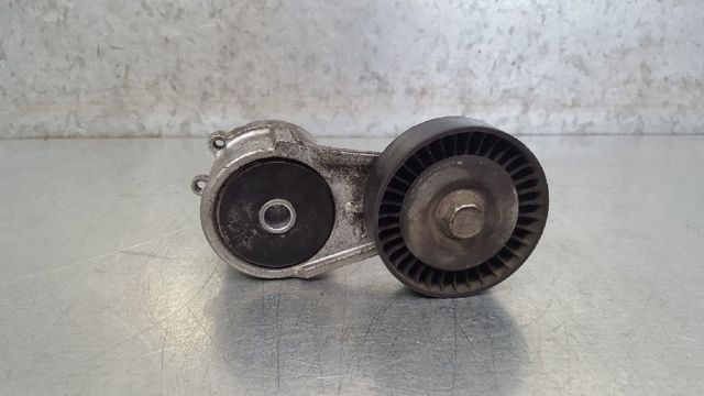 Tensor de correa, correa poli V Opel Zafira F75