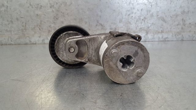 Tensor de correa, correa poli V Opel Zafira F75