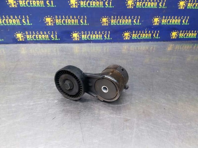 Tensor de correa, correa poli V Opel Zafira F75