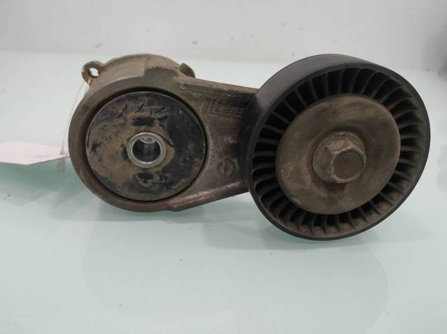 Tensor de correa, correa poli V Opel Zafira F75