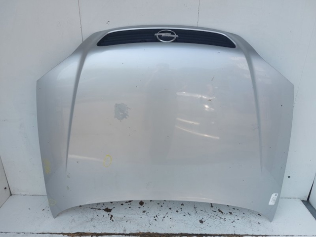 OPEL 93171043 Capó  comprar en Ponferrada