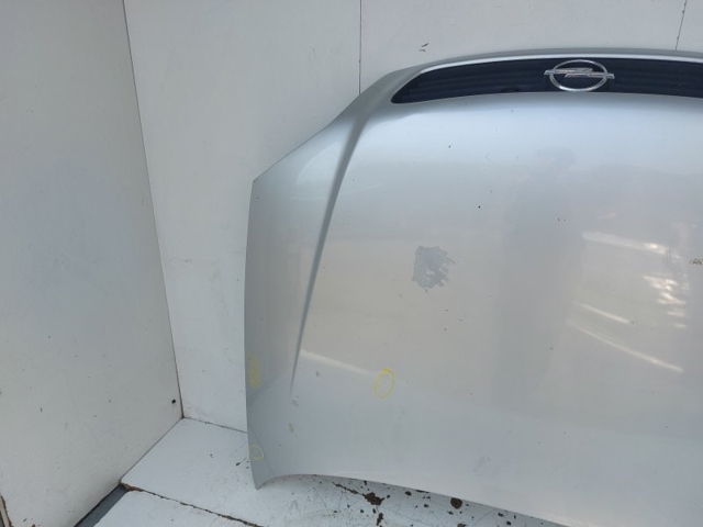 OPEL 93171043 Capó  disponible Valladolid