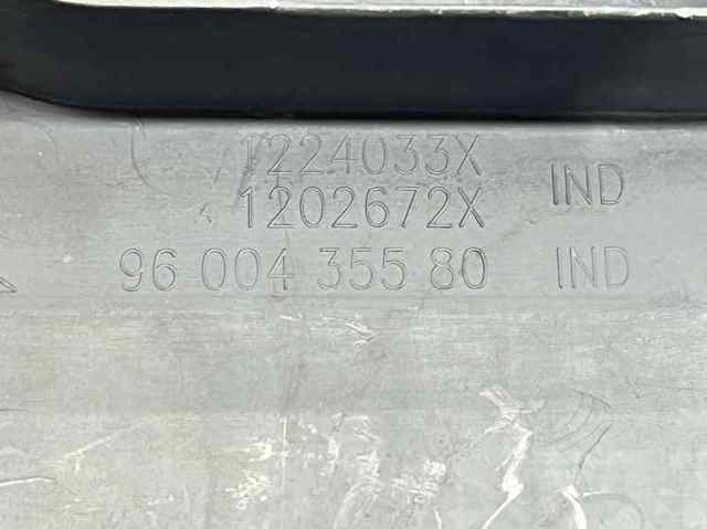 9600435580 Peugeot/Citroen