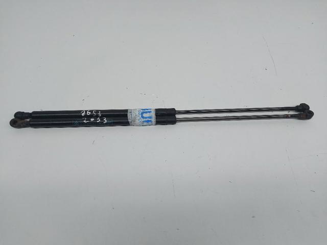 9602754380 PEUGEOT Amortiguador de la tapa del maletero  comprar en Lleida