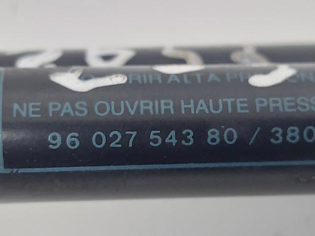 9602754380 Amortiguador de la tapa del maletero  disponible Málaga