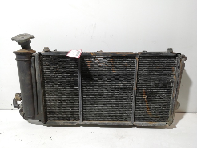 Radiador refrigeración del motor 96029202 Peugeot/Citroen