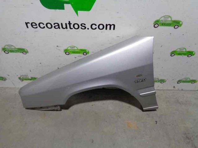 Guardabarros delantero izquierdo 96076220 Peugeot/Citroen