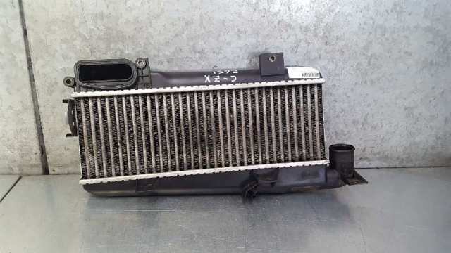 96090690 Peugeot/Citroen