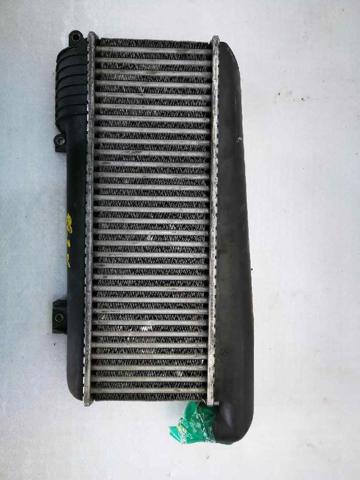 9613541380 Peugeot/Citroen