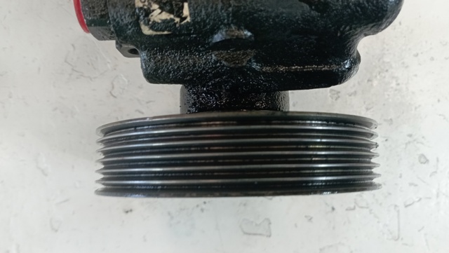 9617753380 PEUGEOT Bomba de dirección asistida  comprar en Lleida