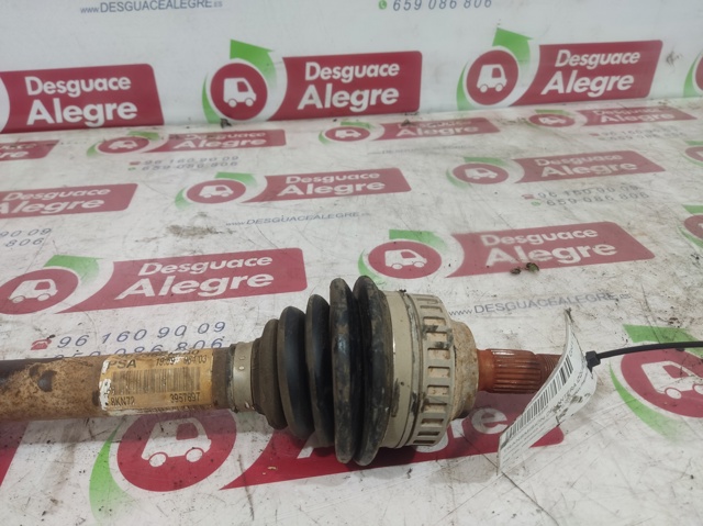 9623687280 comprar Sevilla