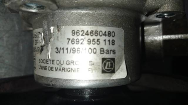 9624660480 PEUGEOT Bomba de dirección  en stock Córdoba
