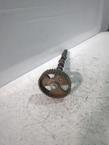 9624835280 PEUGEOT Árbol de levas  comprar en Oviedo
