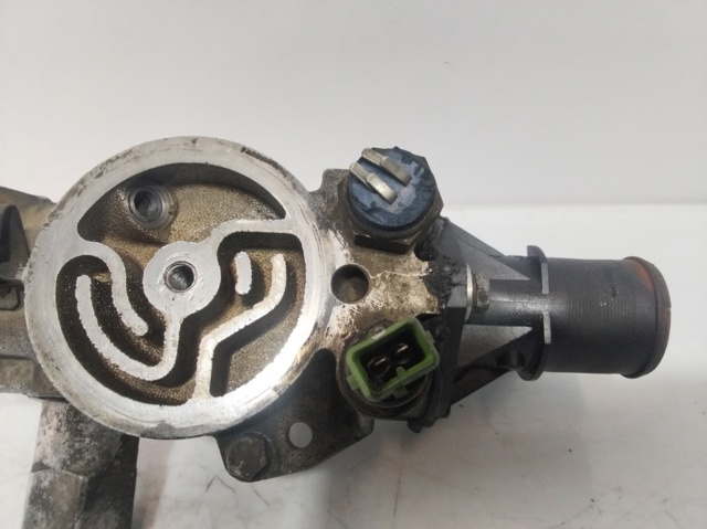 9624839210 Peugeot/Citroen