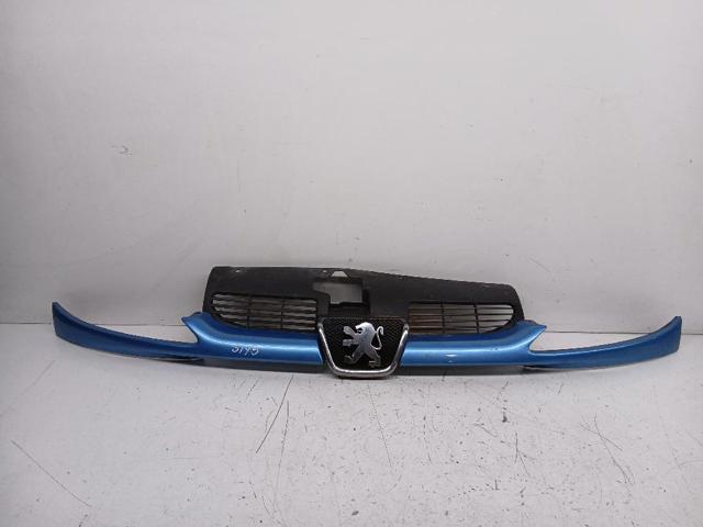 9628691277 Parrilla del radiador  comprar en Zaragoza