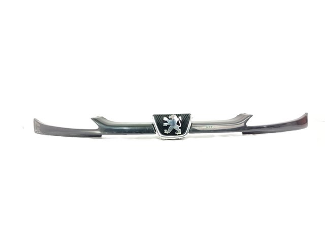 9628691277 Parrilla del radiador  comprar en Zaragoza