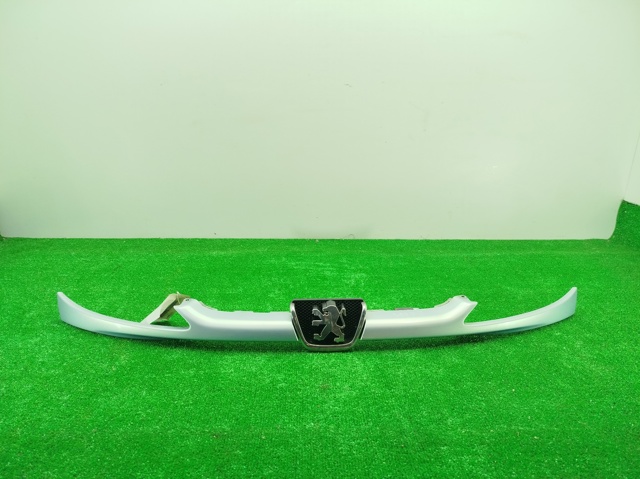 Rejilla de radiador Peugeot 206  (2A/C)