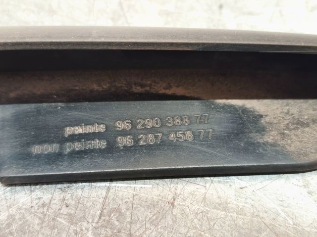 9629038877 Peugeot/Citroen