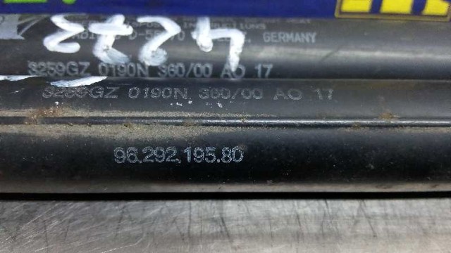 PEUGEOT 9629219580 Amortiguador de capó comprar Pamplona