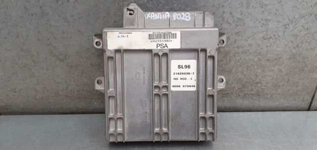 9629372880 Peugeot/Citroen