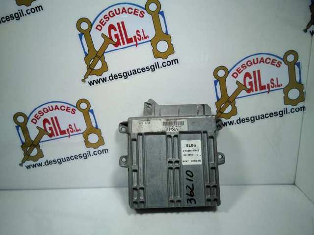 9629372880 Peugeot/Citroen