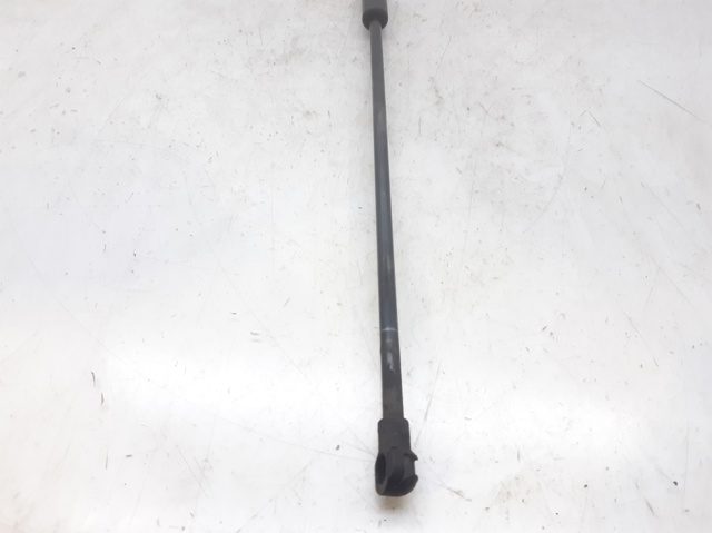 Amortiguador de capó para Peugeot 406 8E, F