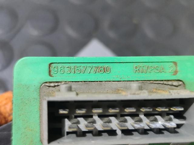 9631577780 Peugeot/Citroen