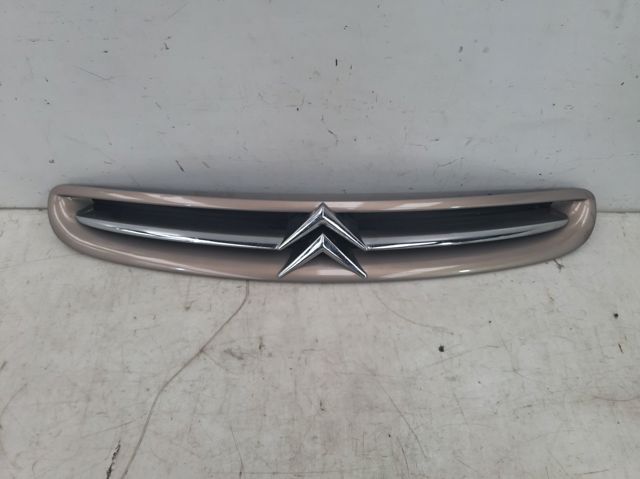 9632099177 Peugeot/Citroen