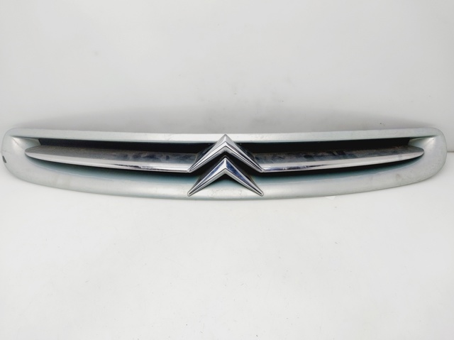 9632099177 Peugeot/Citroen