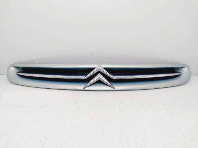 9632099177 Peugeot/Citroen