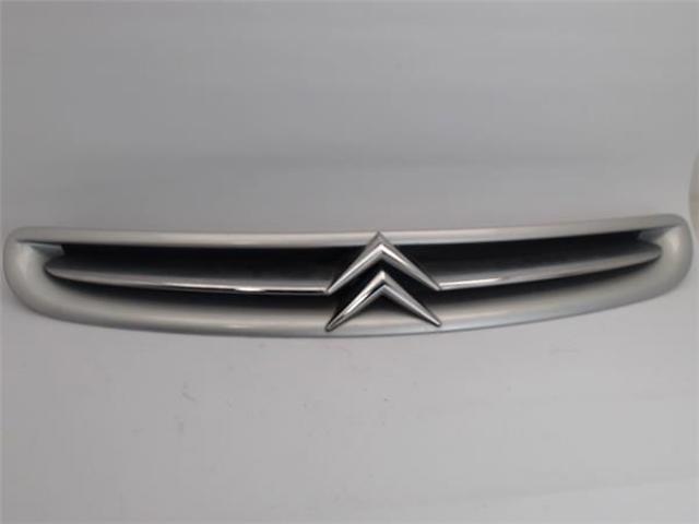9632099177 Peugeot/Citroen