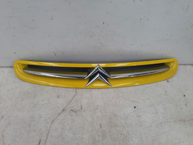 9632099177 Peugeot/Citroen