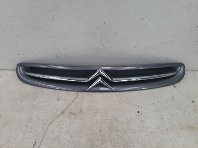 9632099177 Peugeot/Citroen