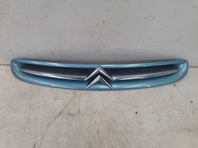 9632099177 Peugeot/Citroen
