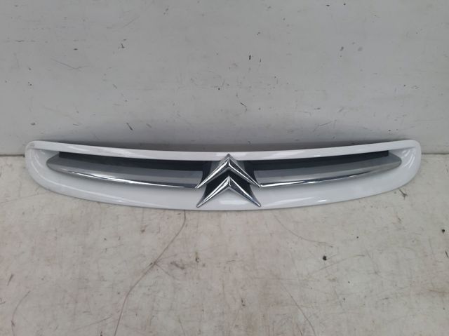 9632099177 PEUGEOT Parrilla del radiador  disponible Ourense