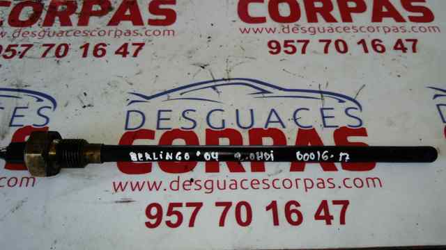 96321685 Peugeot/Citroen