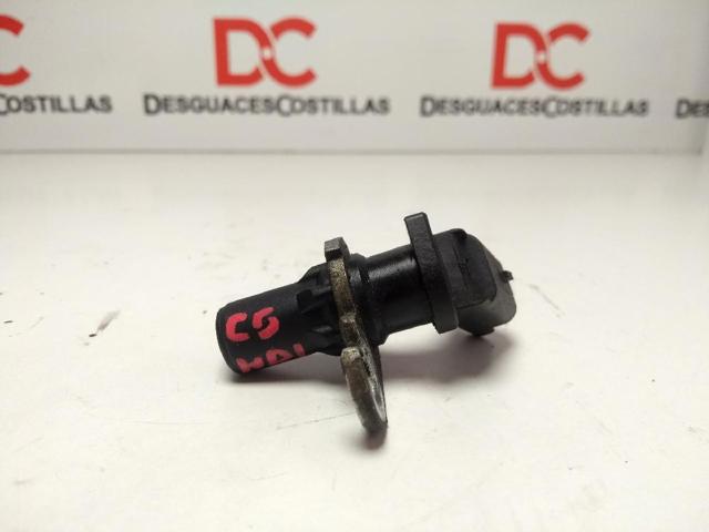 9632889780 Peugeot/Citroen