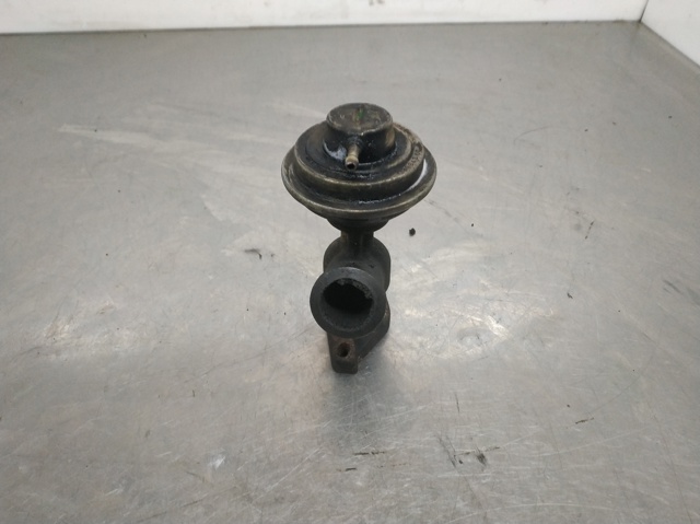 Válvula, AGR Peugeot 406 8B