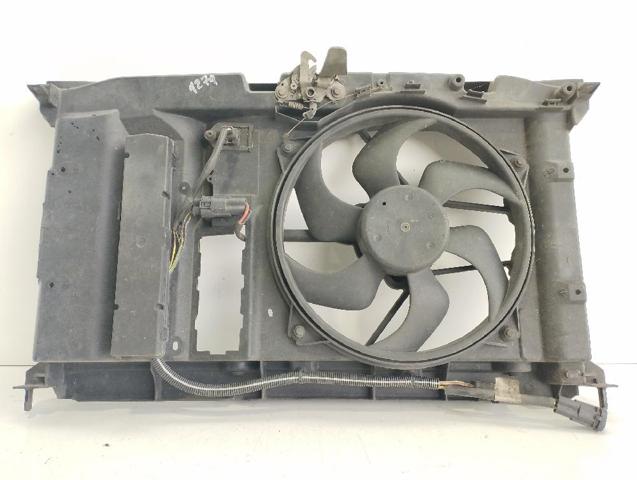 9634009380 Peugeot/Citroen