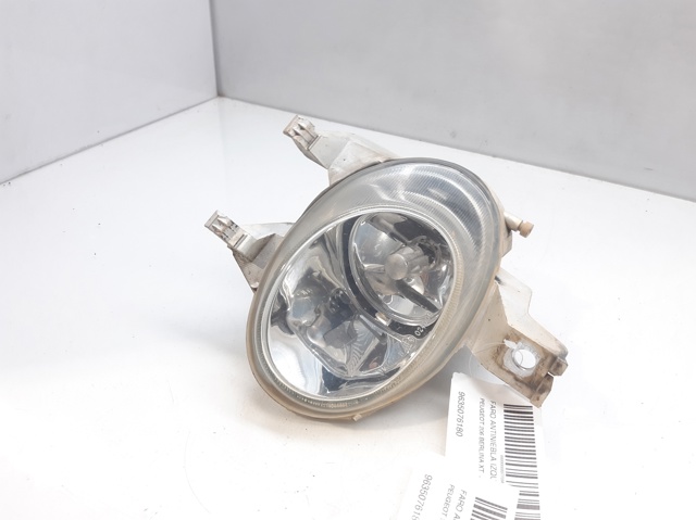 9635076180 Peugeot/Citroen