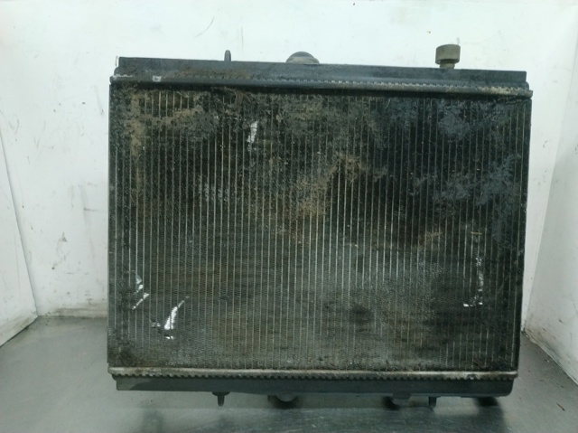 PEUGEOT 9635989980 Radiador de refrigeración del motor  comprar en Murcia