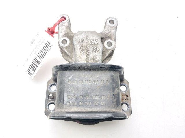 9636583980 Peugeot/Citroen