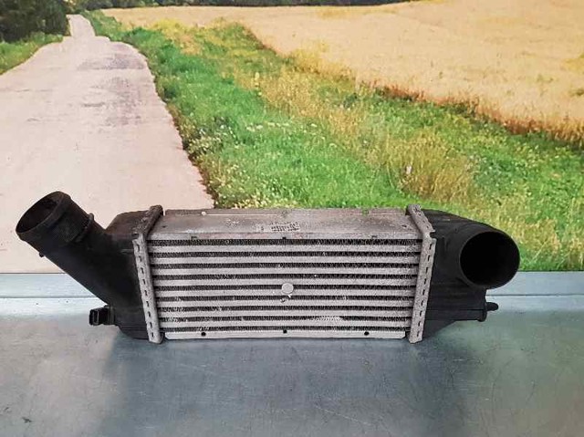 9636635380 PEUGEOT Intercooler  comprar en Lleida