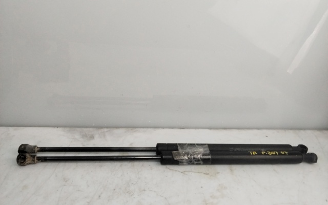 Amortiguador de maletero Peugeot 307 3A, 3C