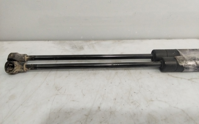 Amortiguador de maletero Peugeot 307 3A, 3C