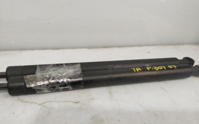 Amortiguador de maletero Peugeot 307 3A, 3C