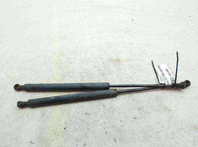 9637711880 PEUGEOT Amortiguador de la tapa del maletero  comprar en Lleida