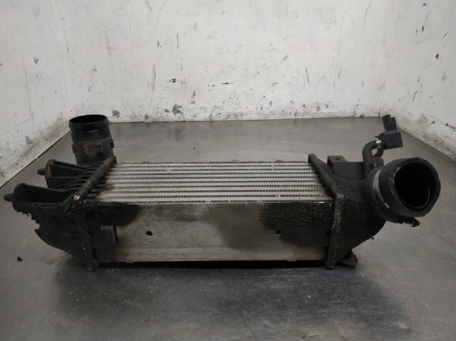 Radiador de aire de admisión Peugeot 406  desde 59,53 €