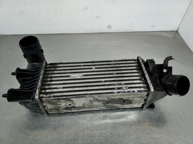 Enfriador de aire de admisión para Citroen C5  (DE)